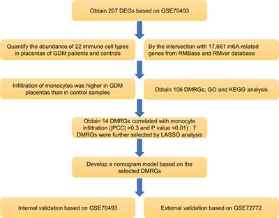 N6-Methyladenosine-Related Gene Signature Associated With Monocyte Infiltration Is Clinically Significant in Gestational Diabetes Mellitus